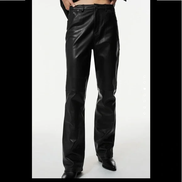 Women Zara Leather Pants Limited Edition Size 2
